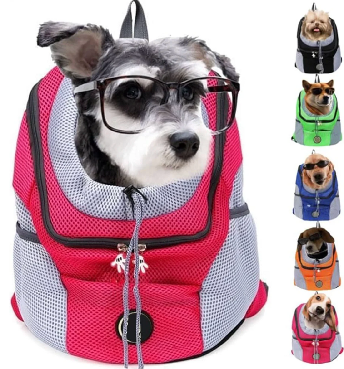 Hondenrugzak – Makkelijk je hond meenemen op avontuur!