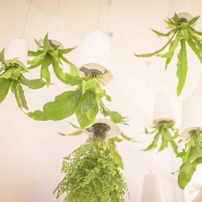 Bloempot - AeroPlant - Hangend Design - Moderne Plantenbak