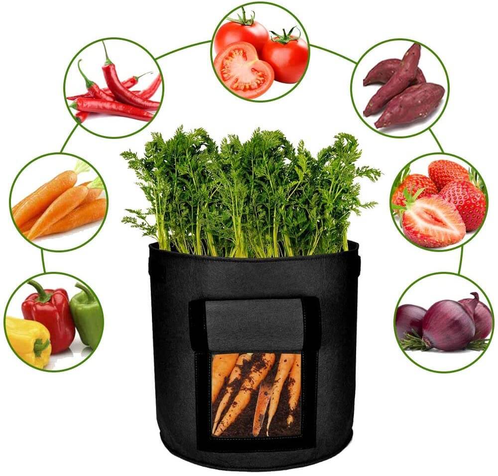 Aardappel Groeizaak - GrowMax - Makkelijk Planten - Duurzaam Ontwerp