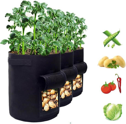 Aardappel Groeizaak - GrowMax - Makkelijk Planten - Duurzaam Ontwerp