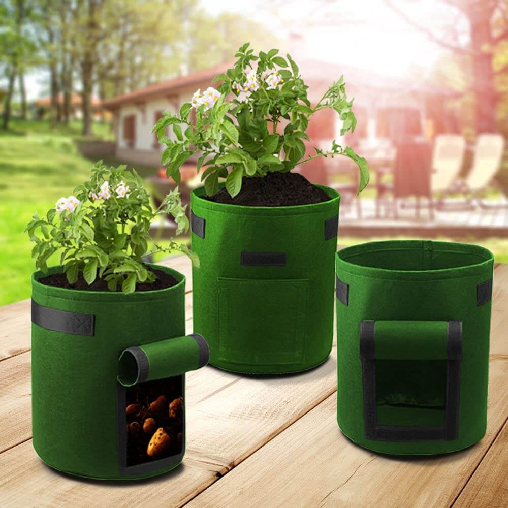 Aardappel Groeizaak - GrowMax - Makkelijk Planten - Duurzaam Ontwerp